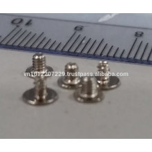 Micro Screw, Fastener, Metal Rivet Pin &amp; Cold Forging Part
